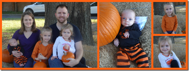 pumpkin patch