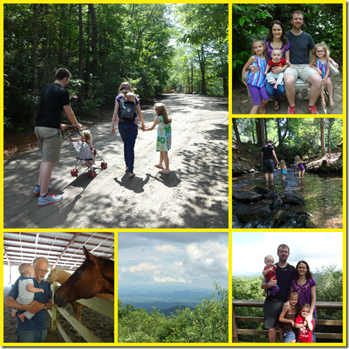 trip2
