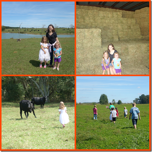 farm