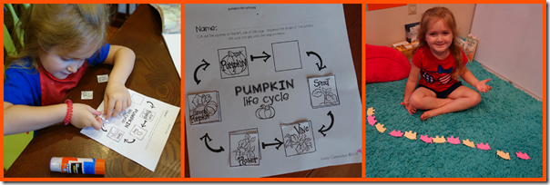 pumpkincycle