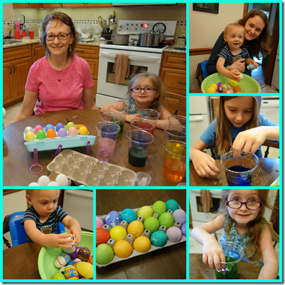 eggs