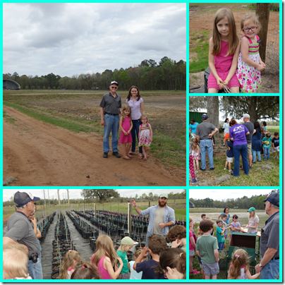 farm