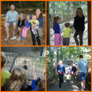 zoo